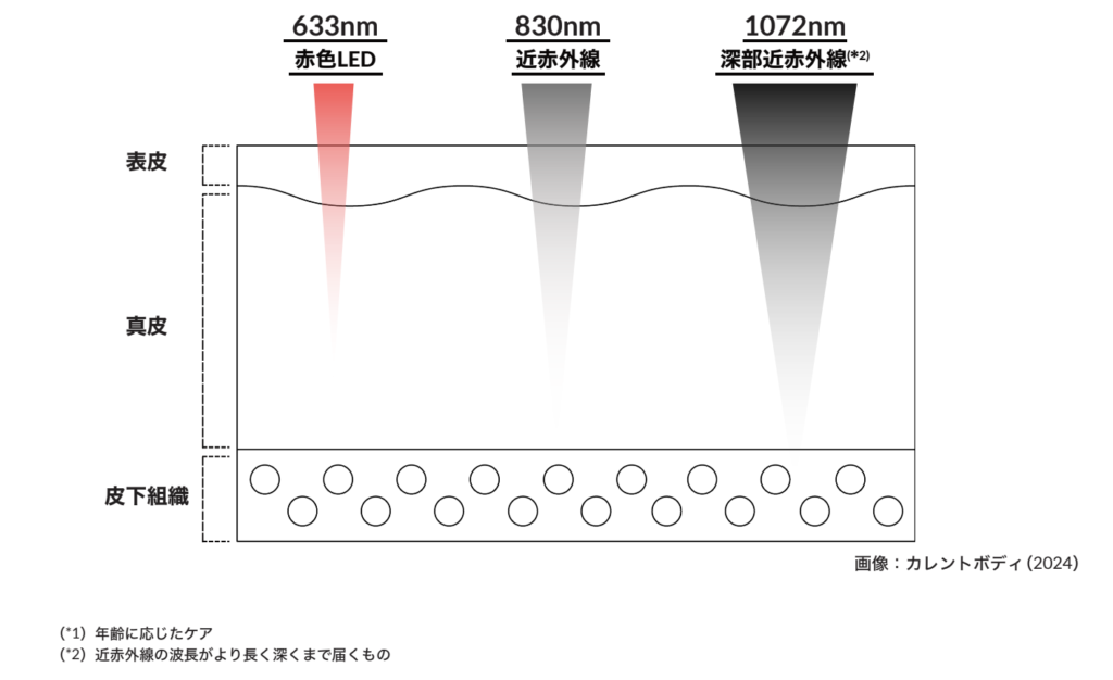 赤色LED/近赤外線/深部近赤外線の波長グラフ