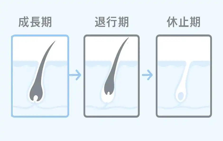 休止期だと脱毛効果が出にくい