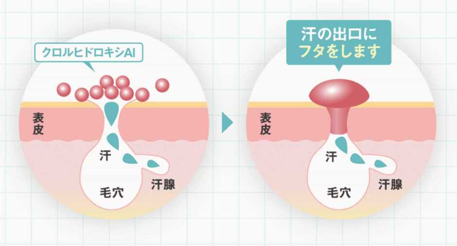 制汗成分の仕組み(クロルヒドロキシアルミニウム)