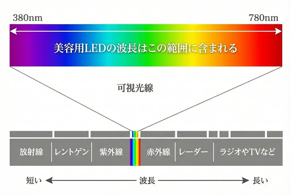 LEDマスクの光がお肌まで届く仕組み