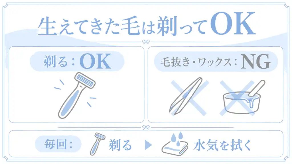 生えてきた毛は剃ってOK、抜くのはNG