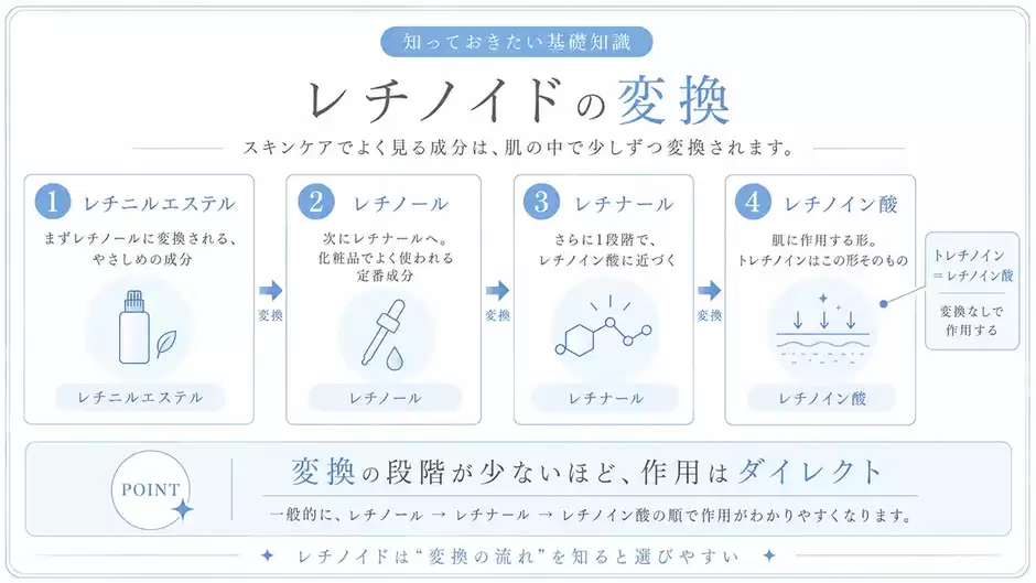 レチノイドの変換図
